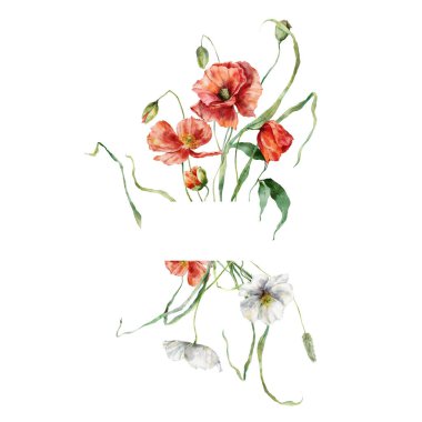 Çayırlık çiçeklerden oluşan suluboya çerçeve, beyaz ve kırmızı gelincikler. Beyaz arka planda elde boyanmış çiçek çizimi. Tasarım, baskı, kumaş veya arkaplan için