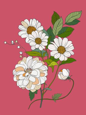 Kasımpatı ve papatyaların çiçek posteri. Pembe arka planda elle boyanmış çiçek çizimi. Tasarım, baskı, kumaş veya arkaplan için bayram buketi kartı