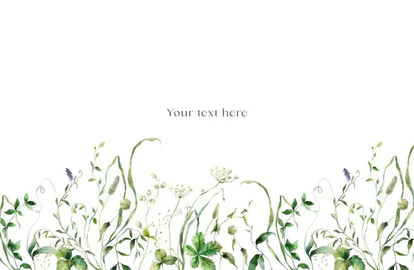 Watercolor Card Meadow Flowers Grasses Hand Painted Floral Illustration Isolated — Stock Photo, Image