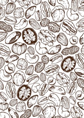 Karışık fındıklardan oluşan vektör çizgisi. Beyaz arka planda şam fıstığı, ceviz, fındık ve badem karışımı. Tasarım, baskı, kumaş ya da arka plan için lezzetli besin örnekleri. Poster