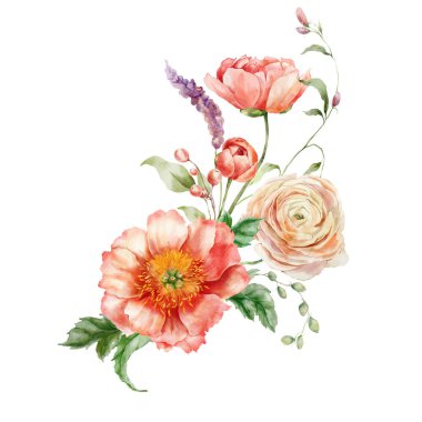 Şakayık buketi, ranunculi ve yapraklar. Beyaz arka planda izole edilmiş çiçek elementlerinin el boyalı kartı. Tasarım, baskı, kumaş veya arkaplan için tatil çiçekleri