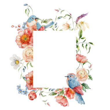 Şakayık, ranunculi ve öten kuşlarla suluboya desenli. Beyaz arka planda izole edilmiş çiçek elementlerinin el boyalı kartı. Tasarım, baskı veya arkaplan için tatil çiçekleri