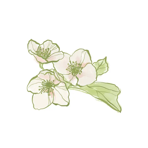 Obraz Olejny Abstrakcyjny Kwiat Karty Białego Różowego Jaśminu Ręcznie Malowana — Zdjęcie stockowe