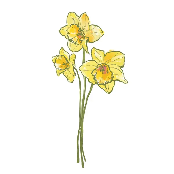 Obraz Olejny Abstrakcyjny Kwiat Bukiet Żółty Narcyz Ręcznie Malowana Kompozycja — Zdjęcie stockowe