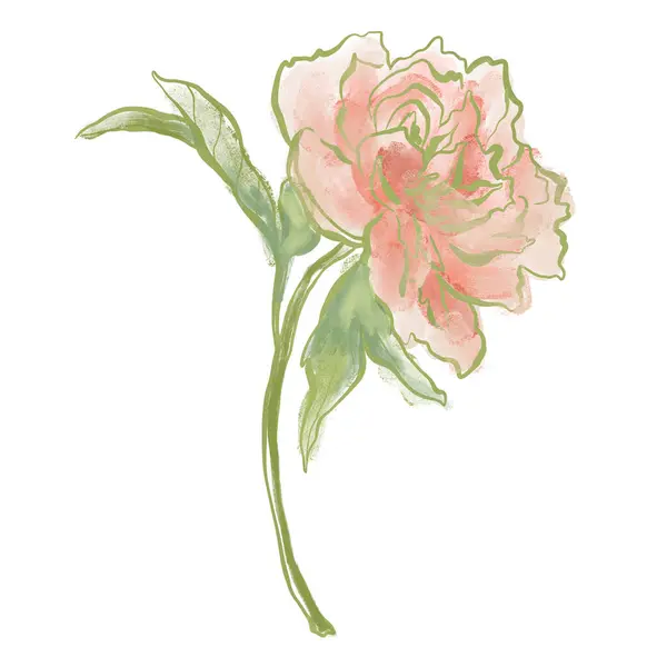 Pintura Óleo Abstracta Tarjeta Flores Peonía Rosa Composición Floral Pintada — Foto de Stock