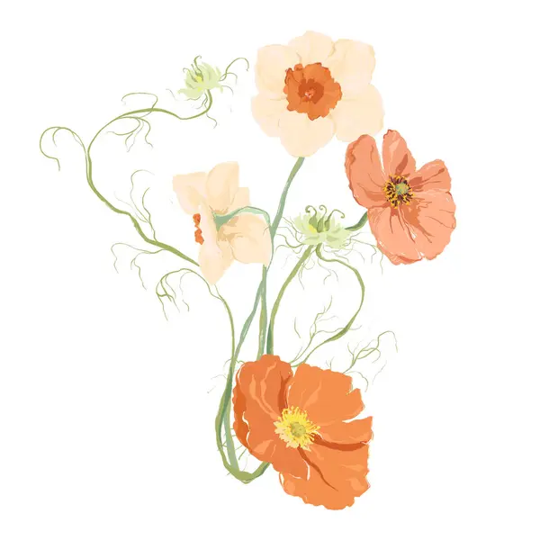Acuarela Conjunto Flores Abstractas Amapola Narciso Elementos Florales Pintados Mano — Foto de Stock