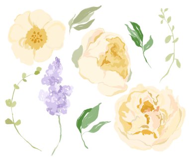 Narcissus, şakayık ve leylaktan oluşan suluboya çiçek seti. Beyaz arka planda el yapımı kır çiçekleri. Tasarım, baskı, kumaş veya arkaplan için Tatil Resimleri