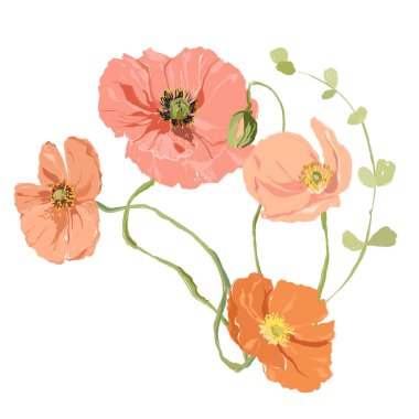 Kırmızı ve pembe haşhaştan oluşan suluboya çiçek seti, dostum. Beyaz arka planda yaban çiçeklerinin elle boyanmış çiçekleri. Tasarım, baskı, kumaş veya arkaplan için Tatil Resimleri