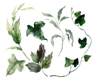 Ağaç dalları ve çimler suluboya seti. El yapımı bitkiler beyaz arka planda izole edilmiş. Tasarım, baskı, kumaş veya arkaplan için açık hava illüstrasyonu