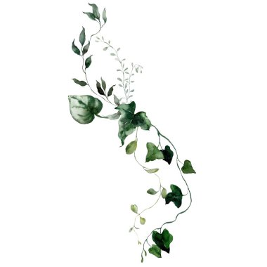 İçinde yatak kamışı, eğrelti otu, ot ve bitkiler bulunan suluboya çiçek kartı. Beyaz arka planda bir çiçek buketinin el çizimi posteri. Tasarım, baskı veya kumaş arkaplanı için bir açık hava illüstrasyonu