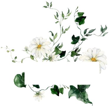 Çiçekler, tomurcuklar ve otlar içeren suluboya yatay çerçeve. Beyaz arka planda bir bitki buketinin elle çizilmiş kompozisyonu. Tasarım, baskı ve kumaş arkaplanı için açık hava illüstrasyonu