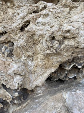 Sina kıyılarındaki eski mercan oluşumları, Mısır. Görüntü mercan dokularını sergiliyor, manzaranın doğal güzelliğini ve jeolojik özelliklerini vurguluyor.