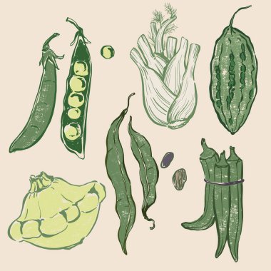 Pattypan kabağı, bamya, bezelye, fasulye ve rezene. Klasik desenli el yapımı bahçe hasat eskizi. Tasarım için lezzetli yiyecekler, sebze pazarı çizimi ya da arka plan