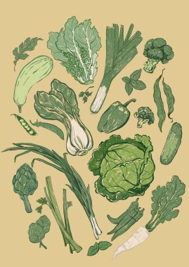 Vektör taze sebze posteri. El yapımı bahçe hasat skeci. Lokanta ve kafe içi, sebze pazarı çizim baskısı, kumaş veya arka plan için lezzetli besin örnekleri