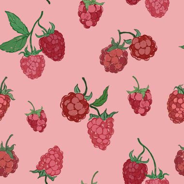 Kusursuz taze ahududu deseni. Pembe arka planda elle çizilmiş olgun meyveler. Tasarım, baskı, kumaş veya arkaplan için lezzetli besin çizimi