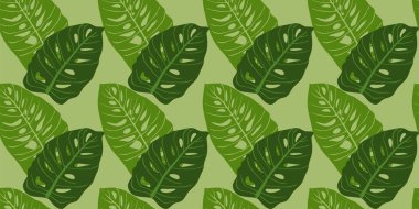 Tropikal canavar yapraklarıyla kusursuz desen. Tropik çiçek izi. Yeşil egzotik bitki yaprakları ile güzel yaz baskısı.