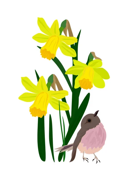 Весенние Желтые Цветы Птицей Векторная Иллюстрация Нарциссами — стоковый вектор