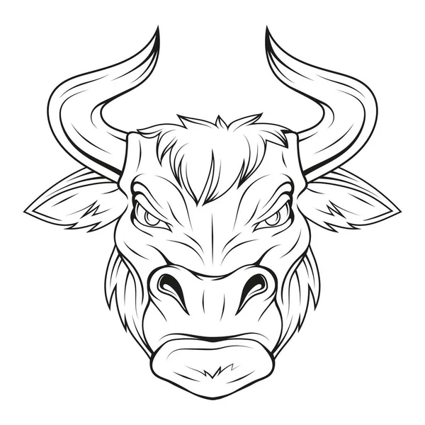 Taureau Illustration Vectorielle Croquis Bœuf Mascotte Buffalo Agressif Muscle Maintenantt — Image vectorielle