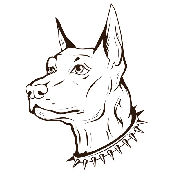 Doberman Vektor Illustration Skiss Renrasiga Husdjur Hundhuvud Med Spetsig Krage — Stock vektor