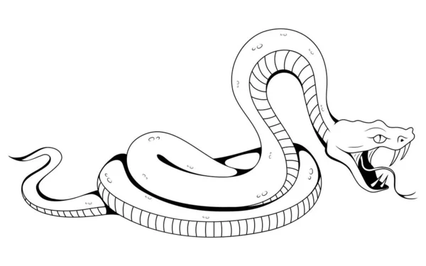 Schlange Vektorillustration Skizze Einer Tätowierten Tropischen Schlange — Stockvektor
