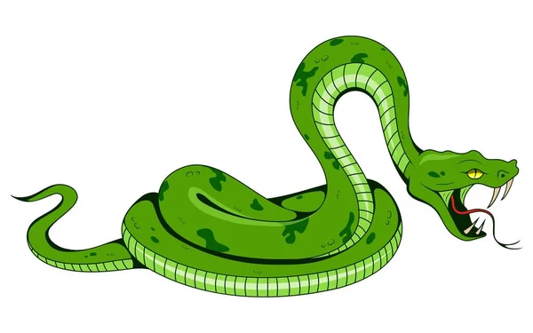 Wąż Wektor Ilustracja Tatuażu Tropikalny Wąż — Wektor stockowy