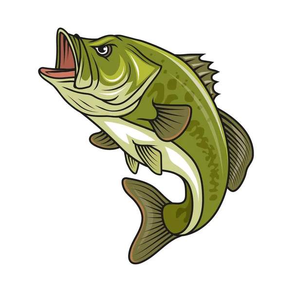 Peixe Baixo Ilustração Vetorial Peixes Largemouth Poleiro — Vetor de Stock