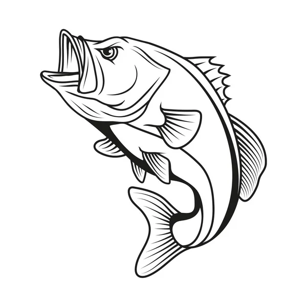 Basová Ryba Vektorový Ilustrační Náčrt Velkoplošných Okounů — Stockový vektor