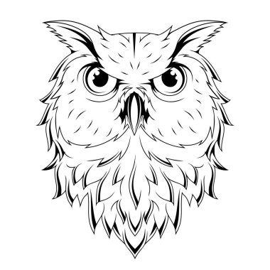 Baykuş. Bir çizim kuşunun vektör çizimi. Şahin gagalı gece kuşları.