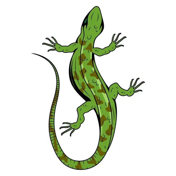 Ödla Vektorillustration Liten Reptil Gecko Logotyp — Stock vektor