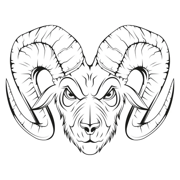 Барабанная Голова Векторная Иллюстрация Козы Бытовой Ягненок Злая Овца — стоковый вектор