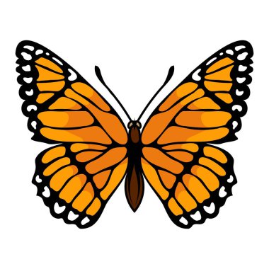 Kelebek. Nektarla beslenen bir böceğin vektör çizimi. Mikroskobik pullarla kaplı güzel bir kanat..