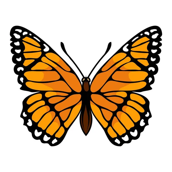 Бабочка Векторная Иллюстрация Насекомого Питающегося Нектаром Красивые Крылья Покрытые Микроскопическими — стоковый вектор