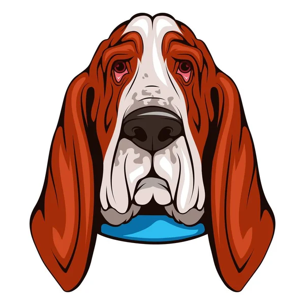 Basset Hound Vector Illustration Pet Animal Lazy Dog — Stock Vector