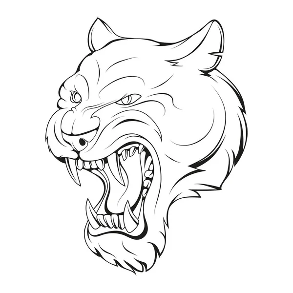 Vad Det Vektor Illustration Skiss Cougar Ett Rytande Amerikanskt Lejonhuvud — Stock vektor