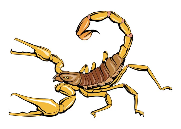 Skorpion Vektorillustration Eines Astrologischen Tierkreiszeichen Horoskops Gewaltige Tentakel Mit Krallen — Stockvektor