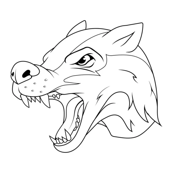 Badger Vector Illustration Sketch Wild Animal Angry Brock — Stock Vector