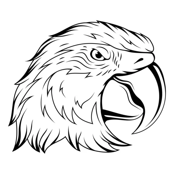 Papagaio Ilustração Vetorial Esboço Pássaro Tropical Irritado Papagaio Ara — Vetor de Stock