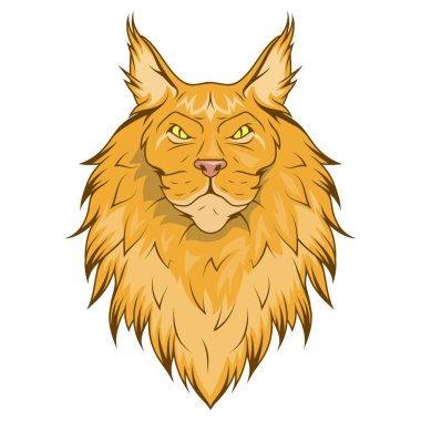 Maine Rakun Kedisi. Kedi zencefilinin vektör çizimi. Kedi bakımı, evcil hayvan dükkanı, evcil hayvan oteli.