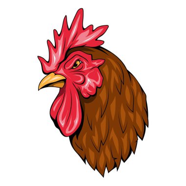 Sik kafalı. Çiftlik horozunun vektör çizimi. Tavuk horozu kafası