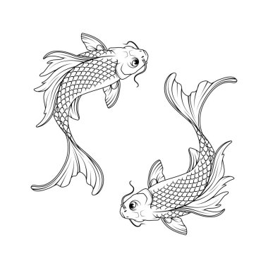 Yin Yang Koi Balık Vektörü Görünümü Mavi ve Turuncu Japon Dövme Sazanı