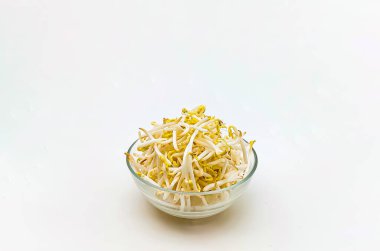 Beyaz arka planda izole bir kasede fasulye filizlenir..