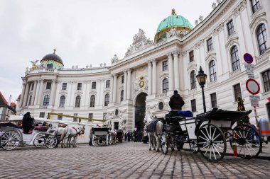 At arabaları Hofburg Sarayı 'nın önüne park etmiş..