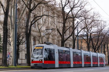 Viyana sokaklarında modern bir tramvay kış öğleden sonra.
