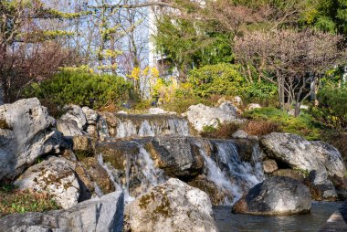 Setagaya Park, Viyana 'da küçük bir şelale. Baharda güzel bahçedeki şelale manzarası.