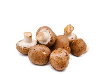 Tüm taze şampiyon mantarları kopyalama alanı ile beyaza izole edilmiş. Yakın çekim görünümü.