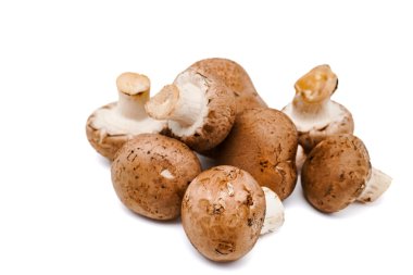 Tüm taze şampiyon mantarları kopyalama alanı ile beyaza izole edilmiş. Yakın çekim görünümü.