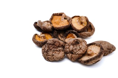Kurutulmuş Shiitake Mantarı, beyaz arka planda fotokopi alanı ile izole edilmiş. Yakın çekim görünümü.