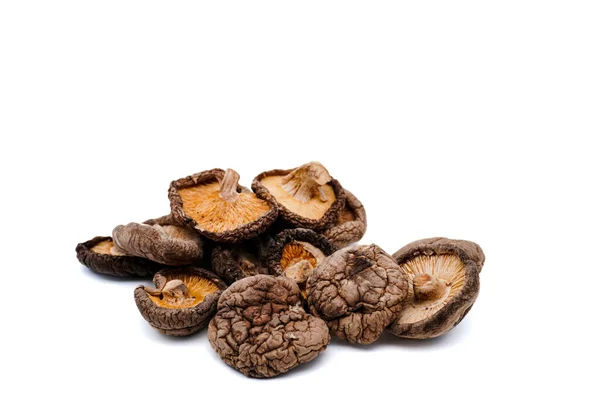 Dried Shiitake Mushroom Isolated White Background Copy Space — Stock Photo, Image