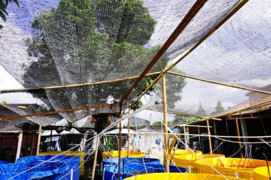 Dar ve sınırlı üretim alanıyla balık üretimini maksimuma çıkarabilen yuvarlak veya dairesel brandalardan yapılmış balık havuzları kullanarak balık yetiştirmek ve yetiştirmek.