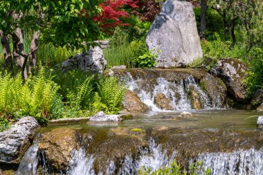 Setagaya Park, Viyana 'da küçük bir şelale. Baharda güzel bahçedeki şelale manzarası. Peyzaj arkaplanı ve duvar kağıdı.